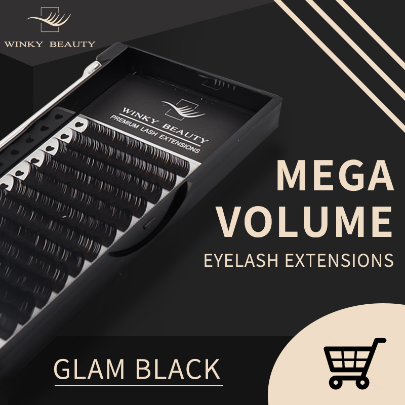 Winky Beauty Op maat uw logo I - Eyelash Extension For Asian Eyes recensie en prijs