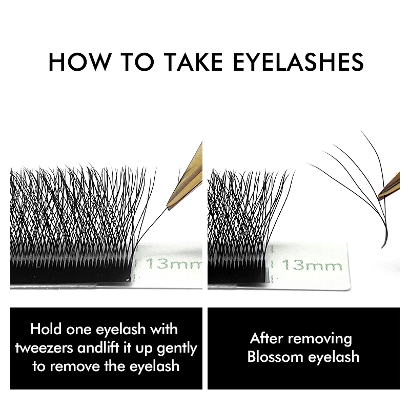 3D 4D 5D 6D W Vormige Klaver W - Eyelash Extension Russian recensie en prijs